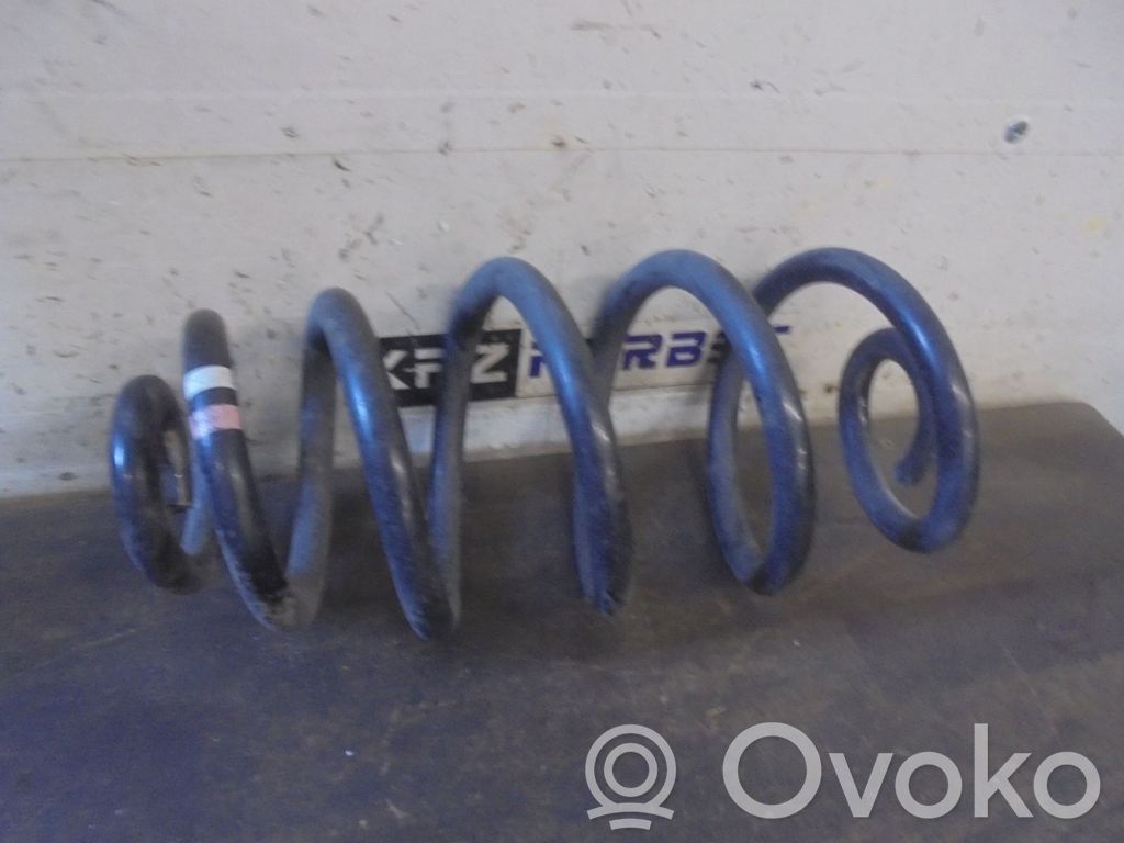 Muelle espiral trasero
