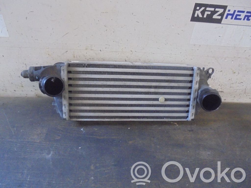 Mini One - Cooper R50 - 53 Interkūlerio radiatorius 