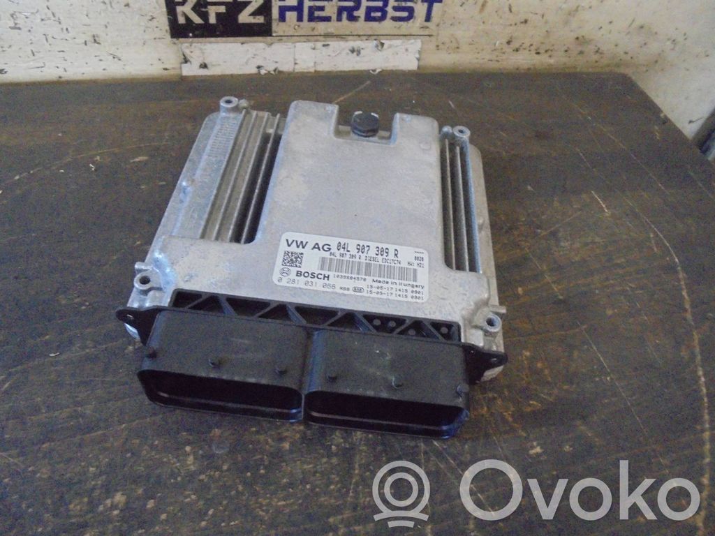 Engine control unit/module   04L907309R,04L907309R,0281031066,0281031066,04L906026GJ,04L907309R,3G0