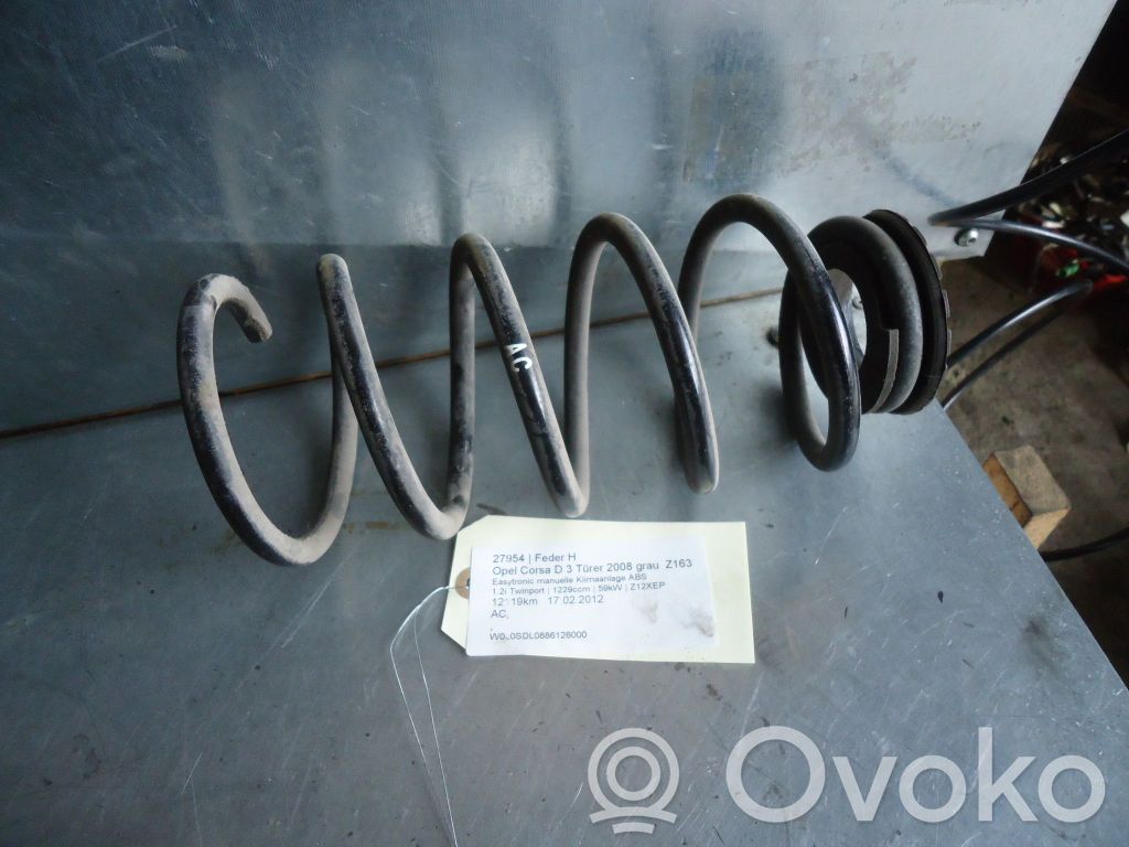 Muelle espiral trasero