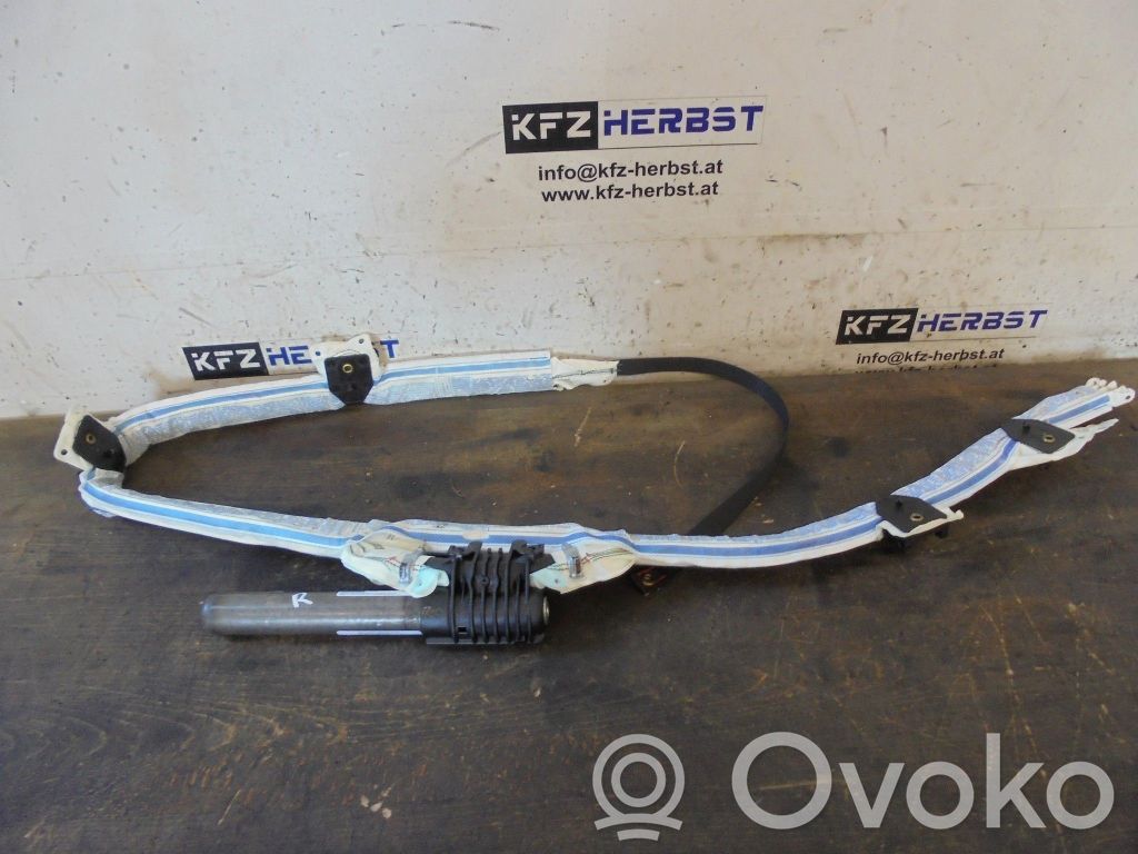 Airbag del techo   13150705,13150705
