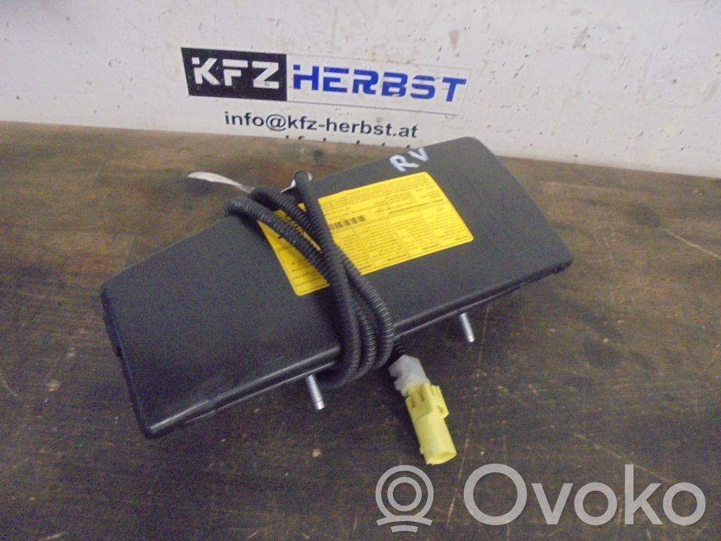 Airbag del asiento   2R88920000,2R88920000