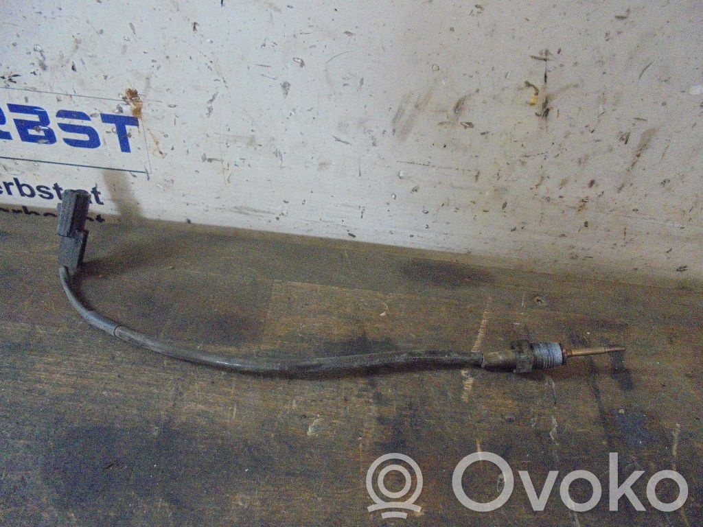 Sensor   AUSPUFFSONDE,AUSPUFFSONDE