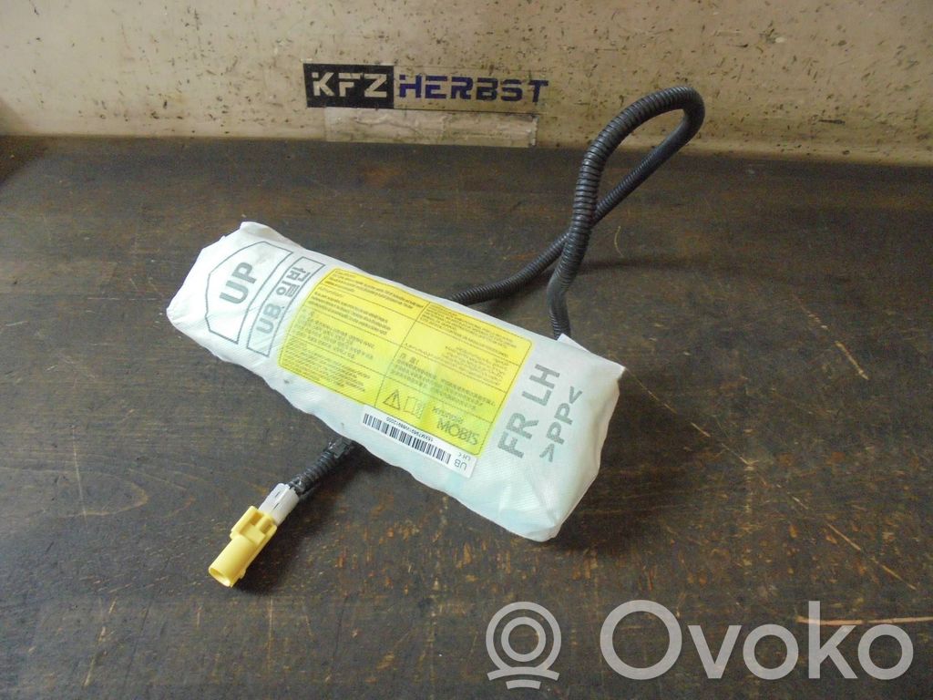 Airbag del asiento   M79691W889,M79691W889
