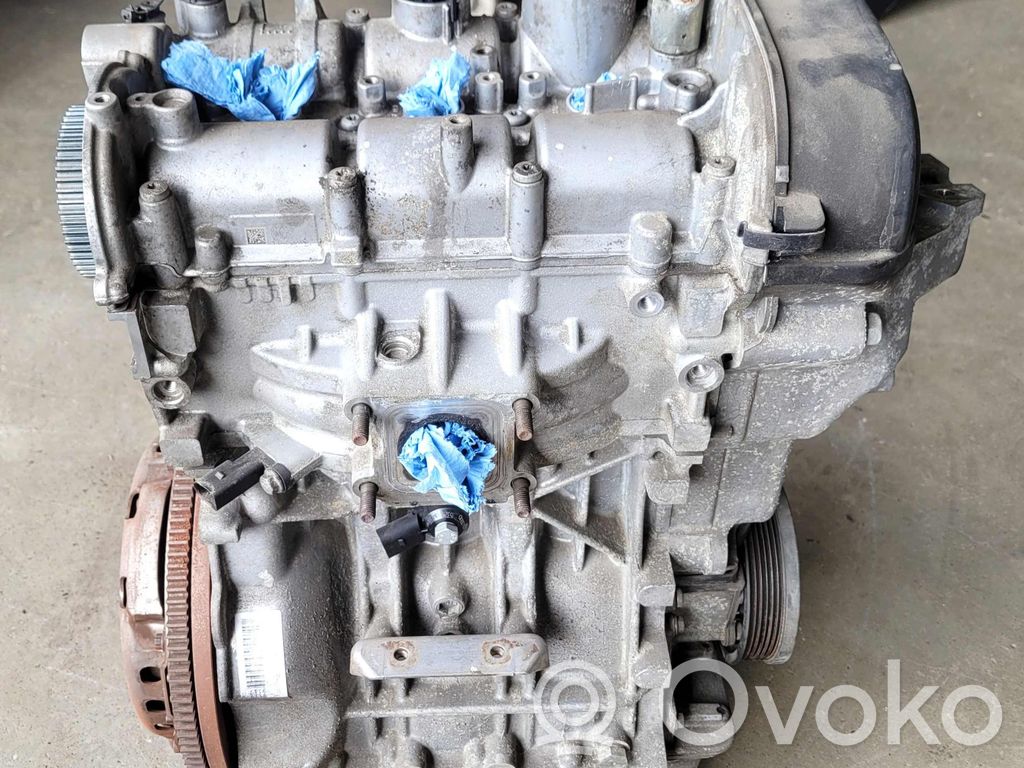 Seat Ibiza IV (6J,6P) Motor 