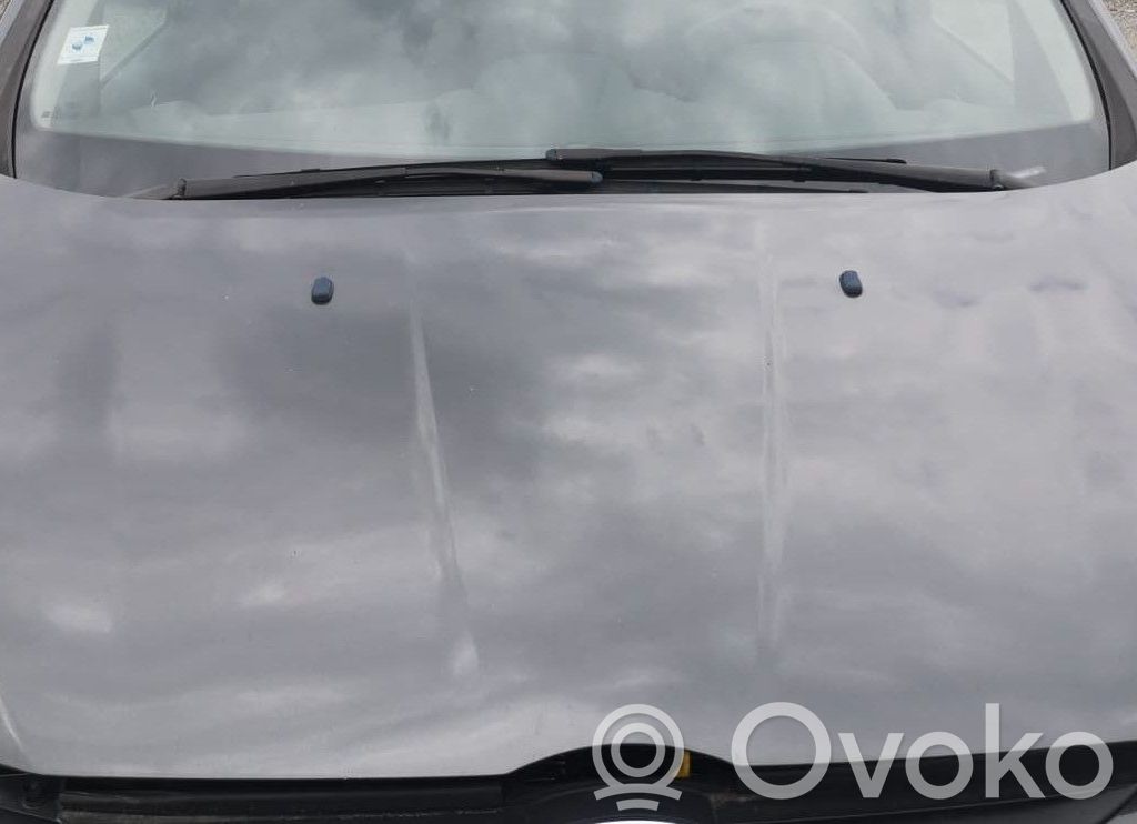 Capó/tapa del motor   2100964,PAV11R16610AC,2100964,PAV11R16610AC