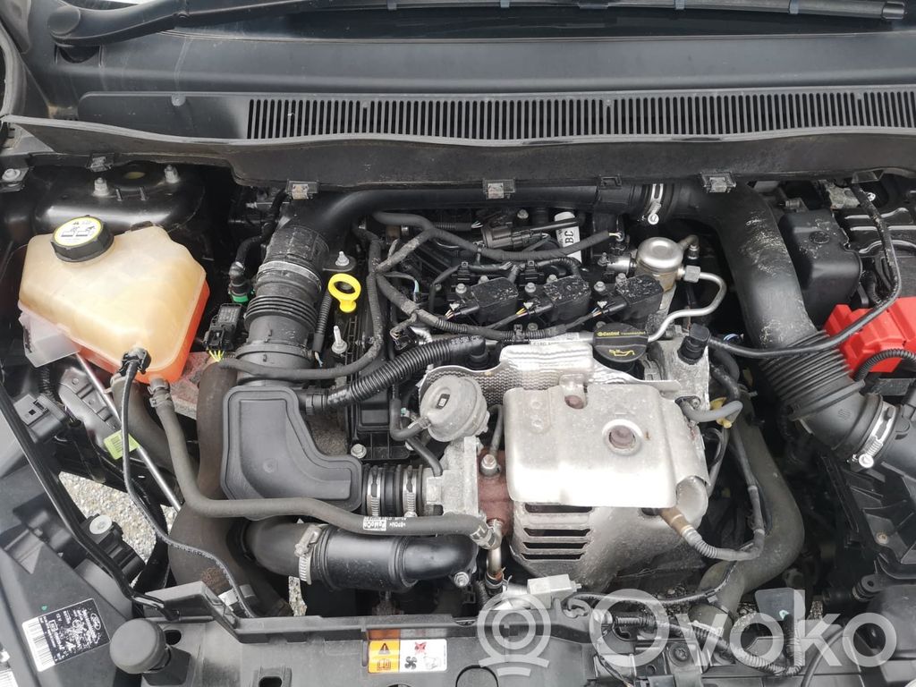 Engine   2239292,C1BG6006FB,2239292,C1BG6006FB