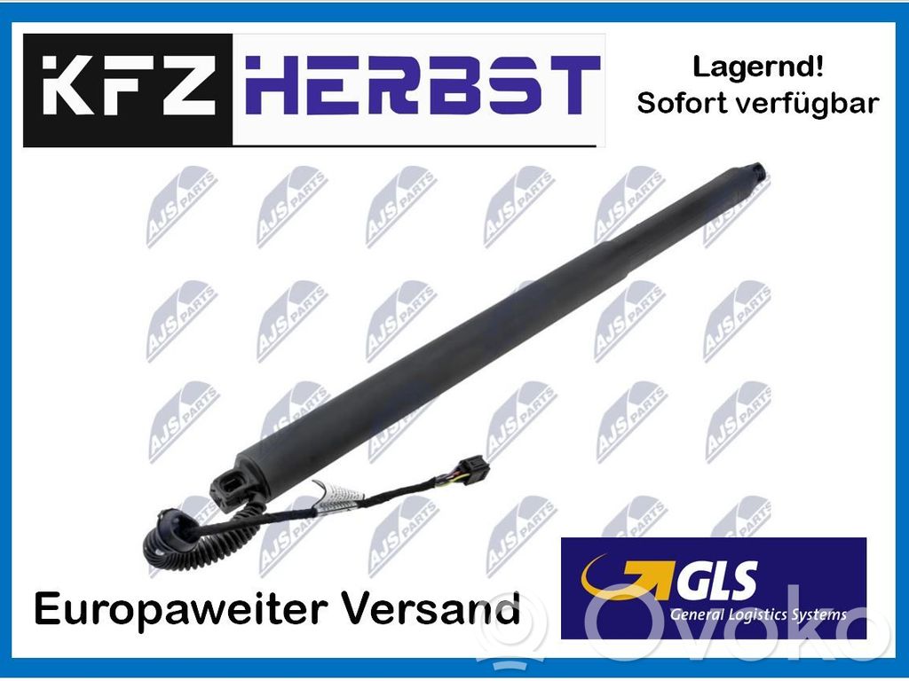 Seat Ateca Tailgate/trunk strut/damper 