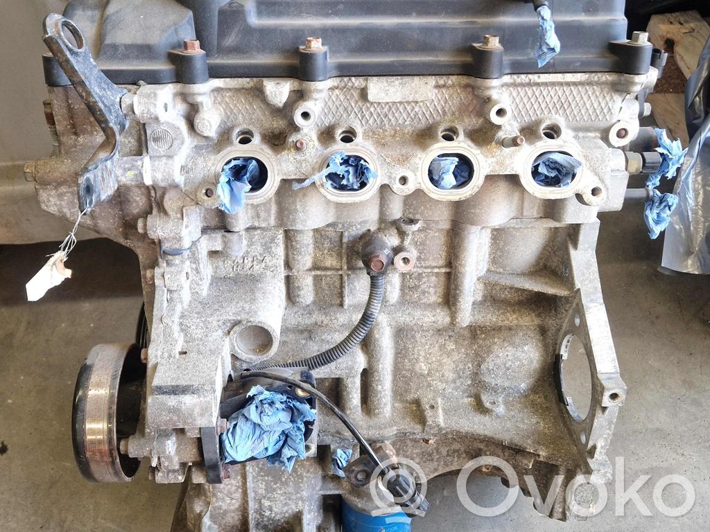 Hyundai i20 (PB PBT) Motore 