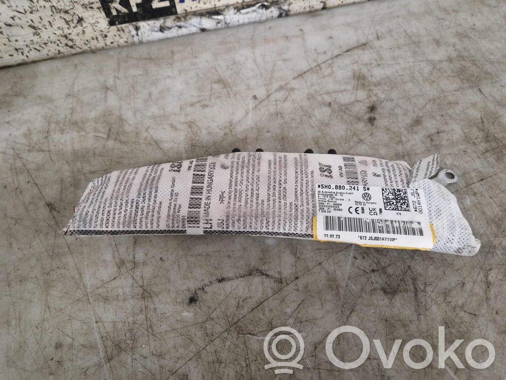 Airbag de la puerta delantera   5H0880241S,5H0880241S
