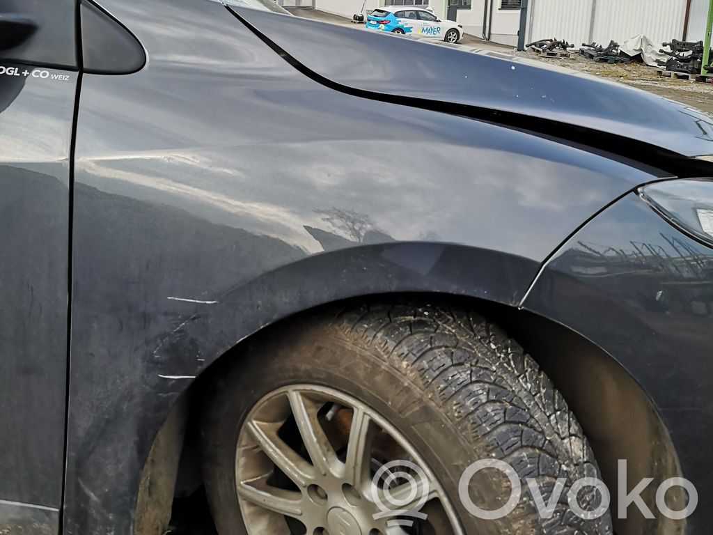 Renault Megane III Parafango 
