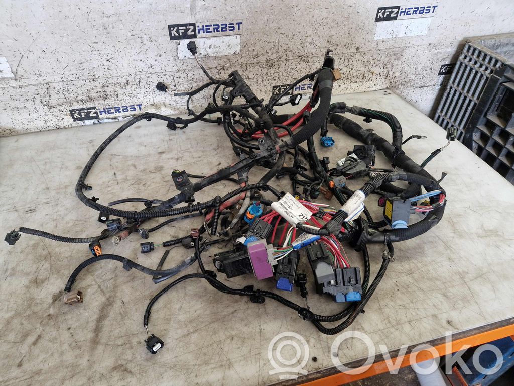 Cablaj motor   240119650R,240119650R