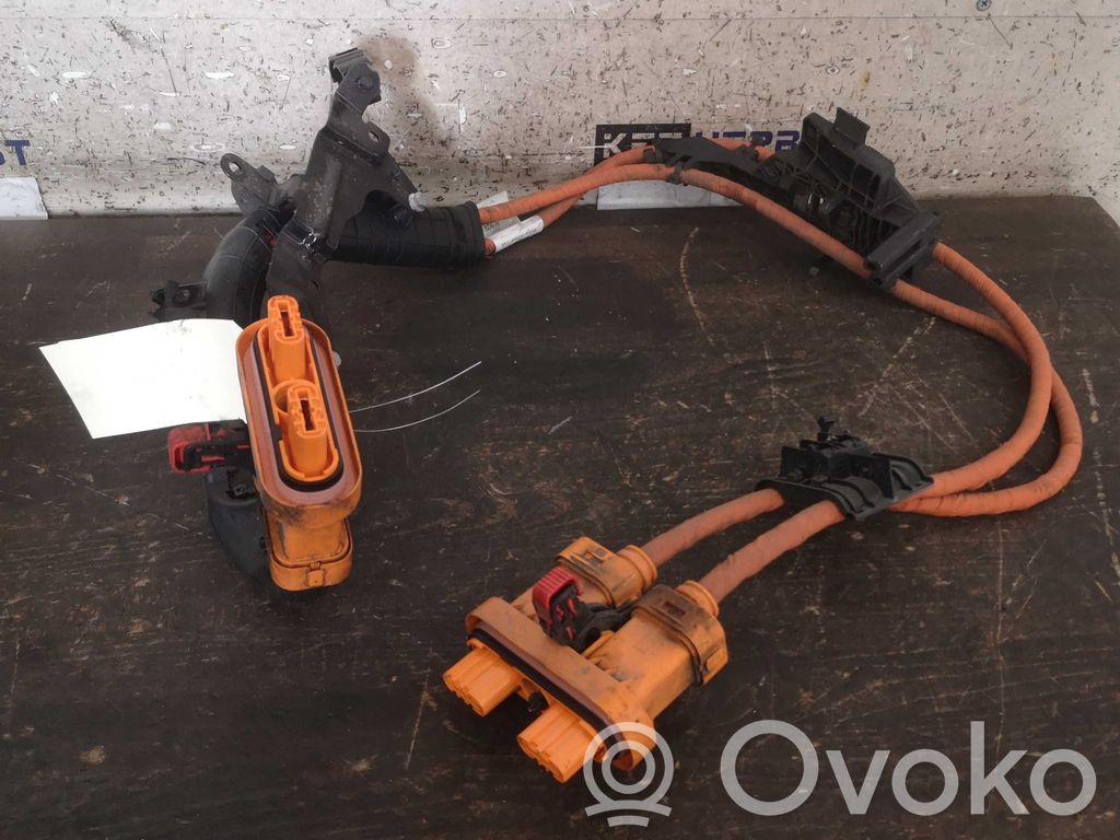 Otros cableados   1EA971015T,1EA971015T