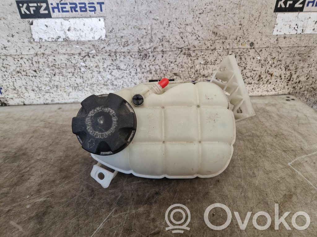BMW 3 F30 F35 F31 Vas expansiune/rezervor lichid de răcire 