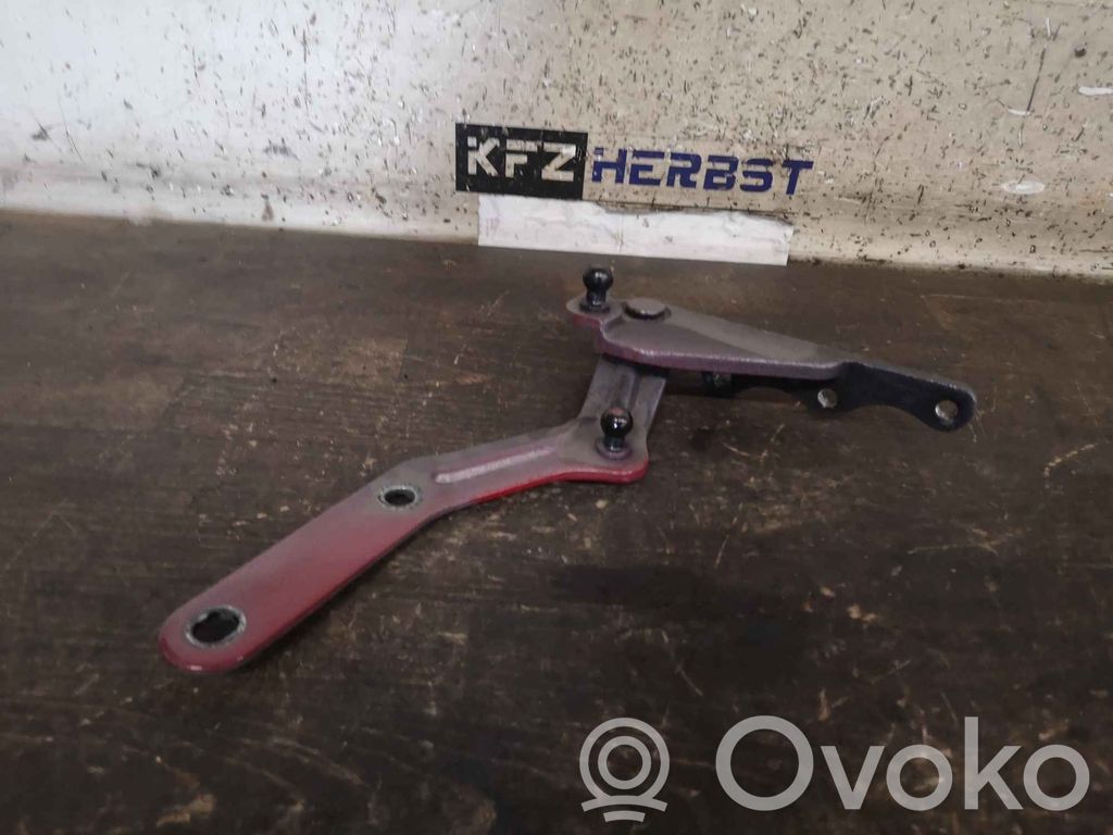 Rear door hinge set   1032667,103793300L,1032667,103793300L