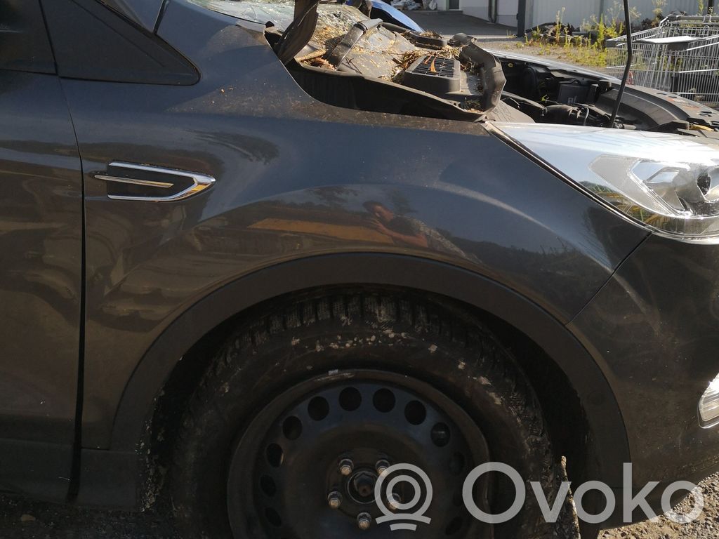 Ford Kuga II Parafango 