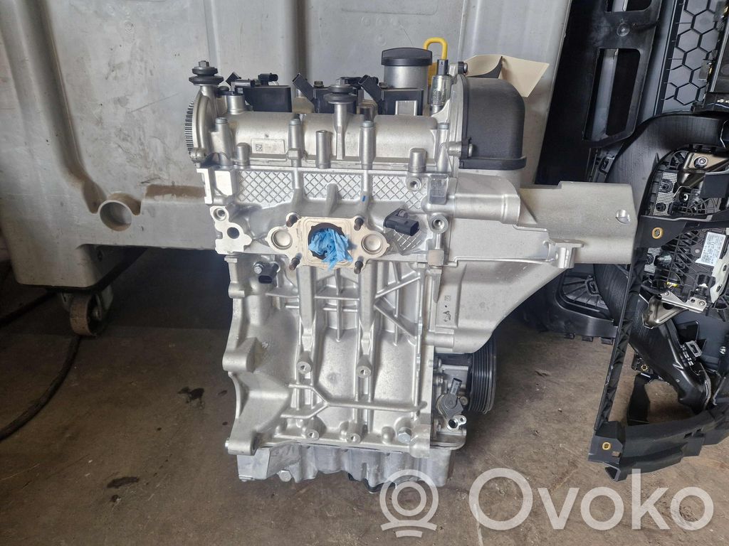 Skoda Fabia Mk4 (6VA) Motor 