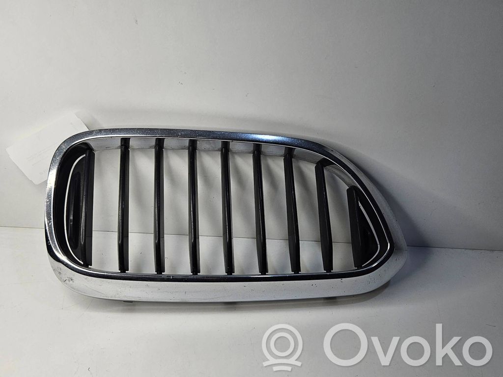 BMW 5 G30 G31 G38 Grilă radiator față 