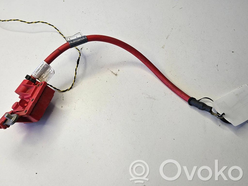 Pluskaapeli (akku)   9217030,EEV74Y