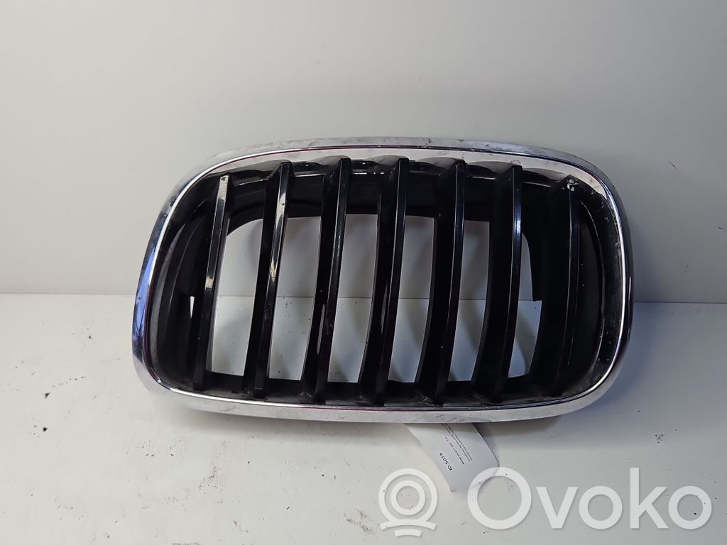 BMW X6 E71 Grotelės viršutinės 