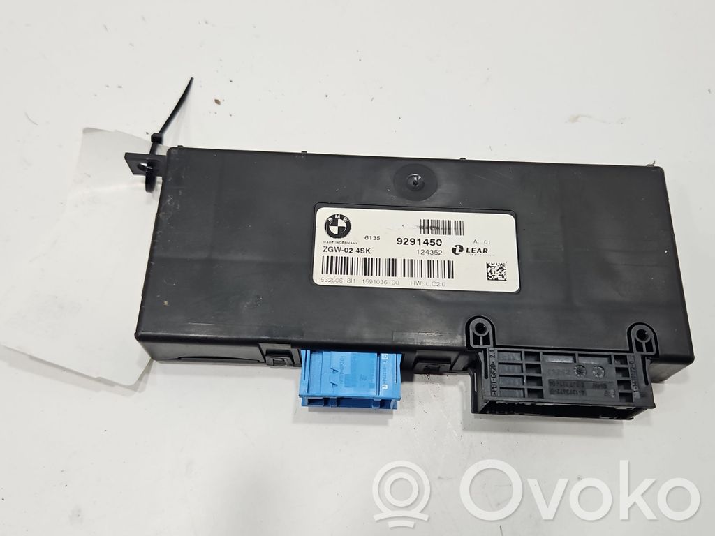 BMW 5 F10 F11 Modulo di controllo accesso 