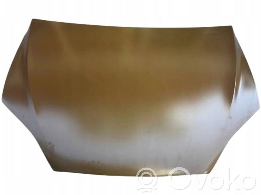 Tesla Model X Engine bonnet/hood 