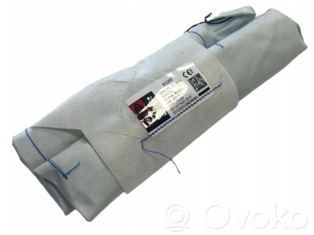 Tesla Model 3 Airbag del asiento 