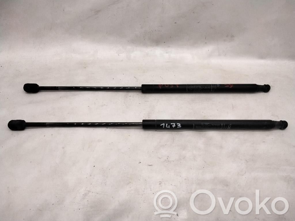 Fiat Bravo Tailgate/trunk strut/damper 