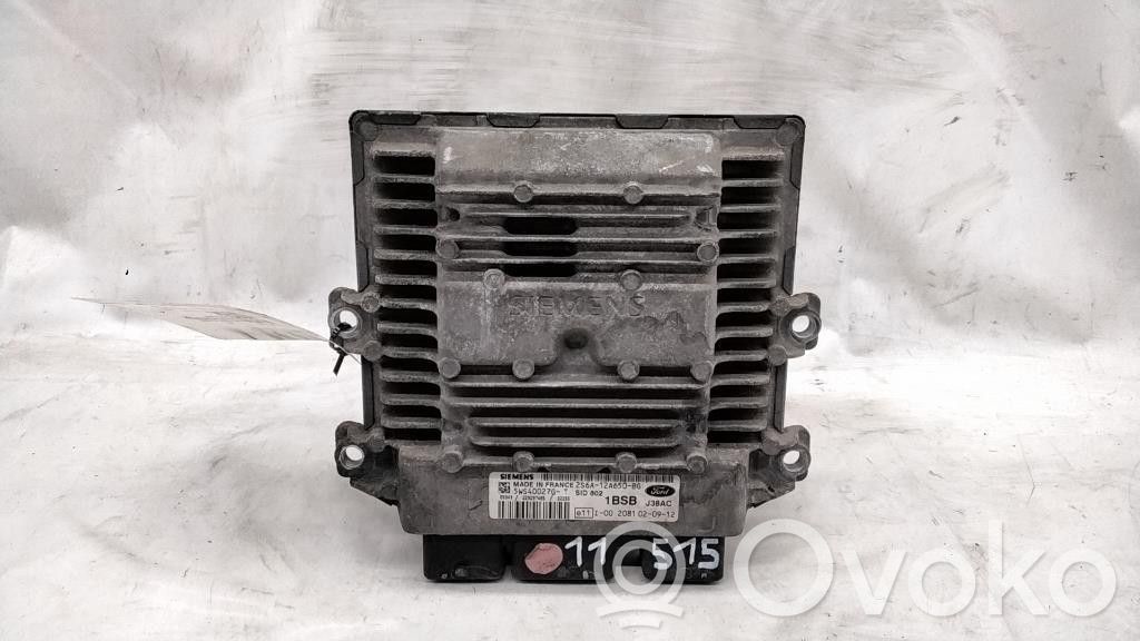 Ford Fiesta Injection control unit/module 