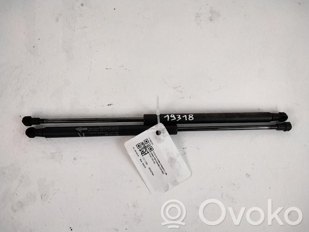 Toyota Yaris Tailgate/trunk strut/damper 