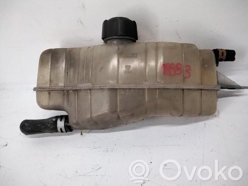 Renault Clio III Coolant expansion tank/reservoir 