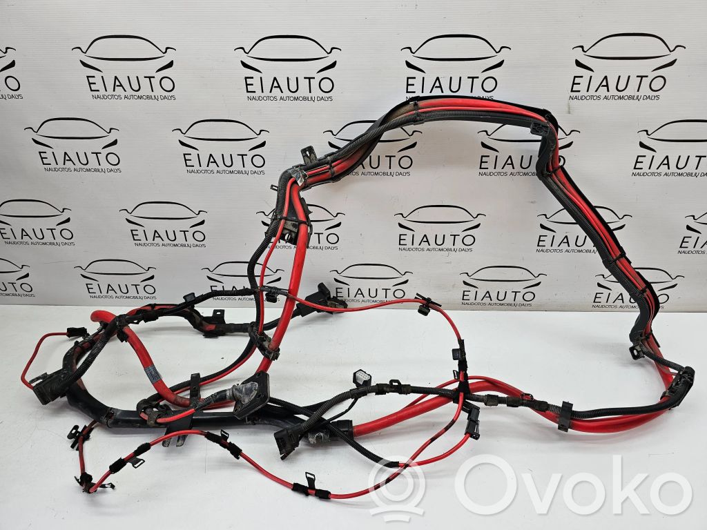 BMW X6 E71 Positive cable (battery) 