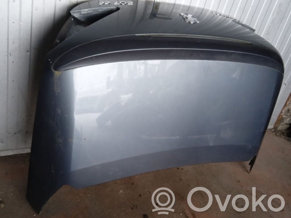 Tailgate/trunk/boot lid