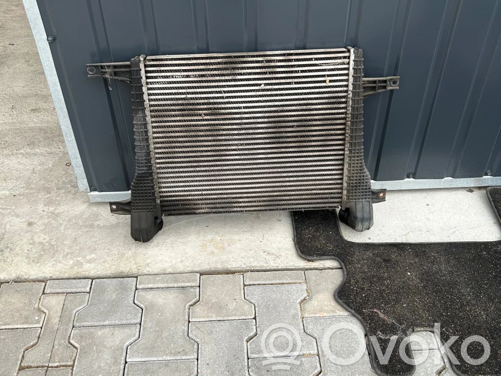 Opel Antara Interkūlerio radiatorius 