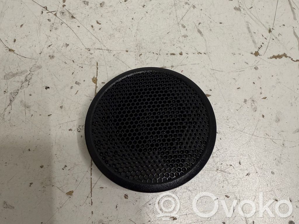 Panel speaker   D09J66960,KA234,B5049