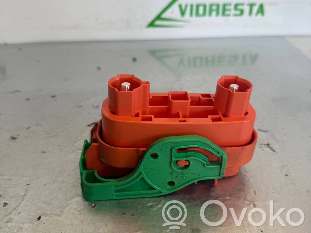 Nissan Leaf I (ZE0) Saugiklis 