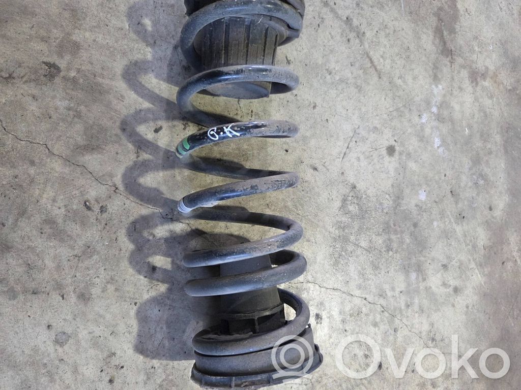 Rear coil spring   5339
