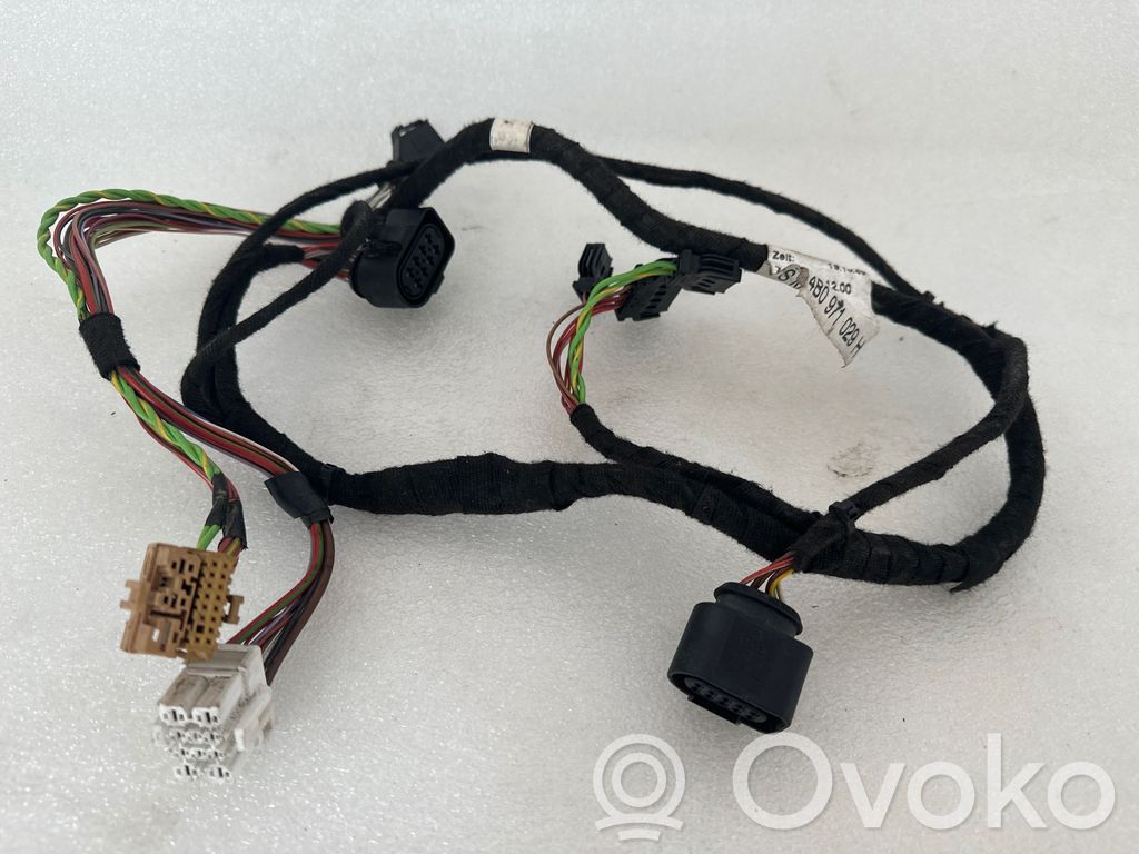 Audi A6 S6 C6 4F Cableado de puerta delantera 
