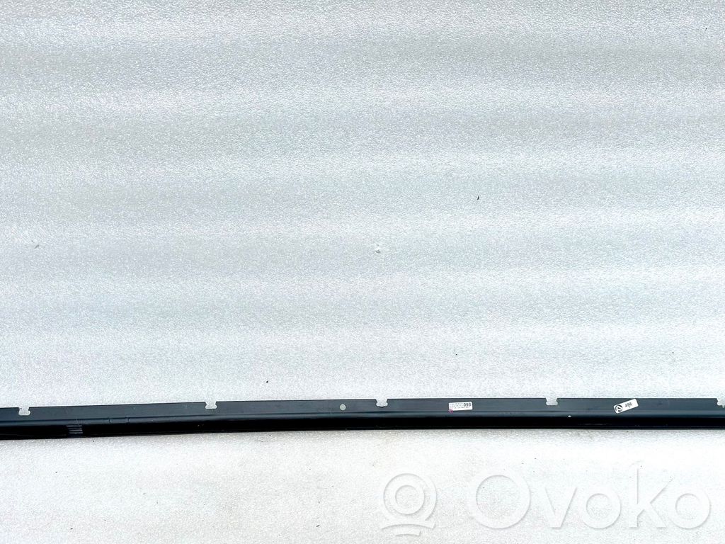Audi A6 S6 C6 4F Puerta delantera 