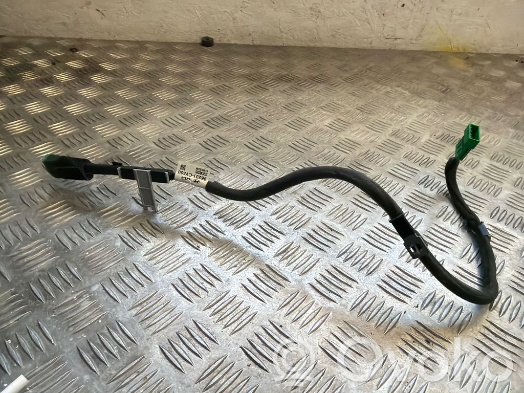 KIA EV6 Alte cablaje 