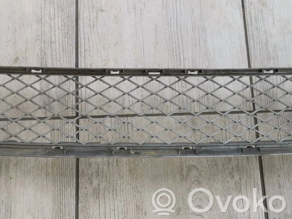 BMW X5 E70 Front bumper lower grill 