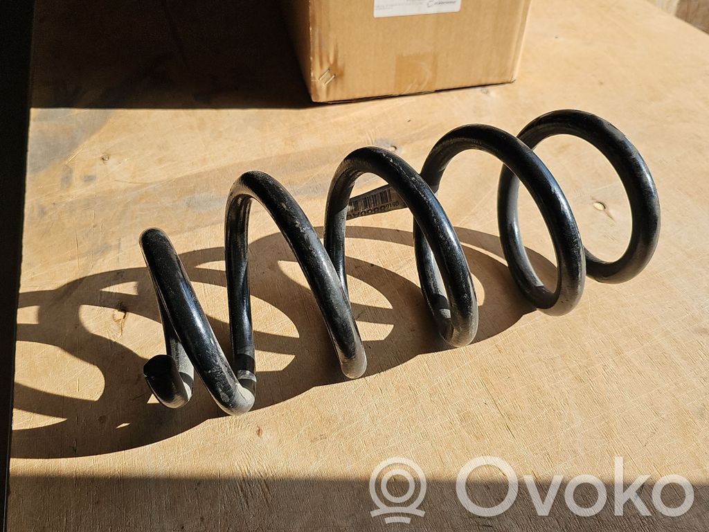 Dodge Charger Rear coil spring 