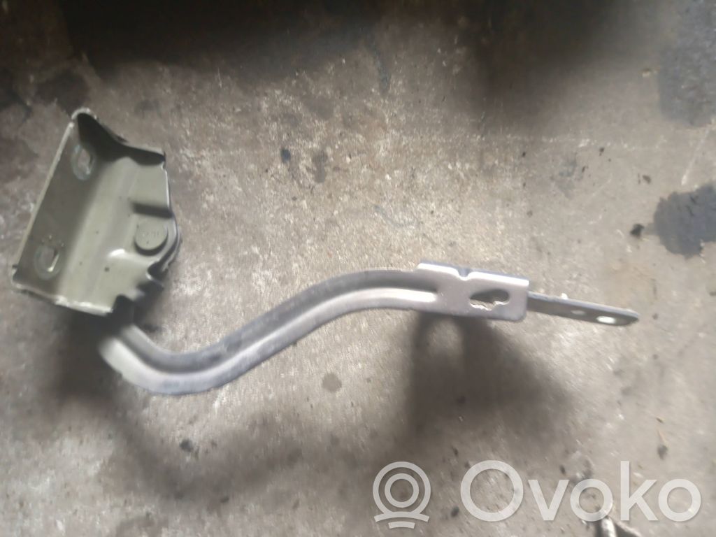 Renault Modus Engine bonnet/hood hinges 
