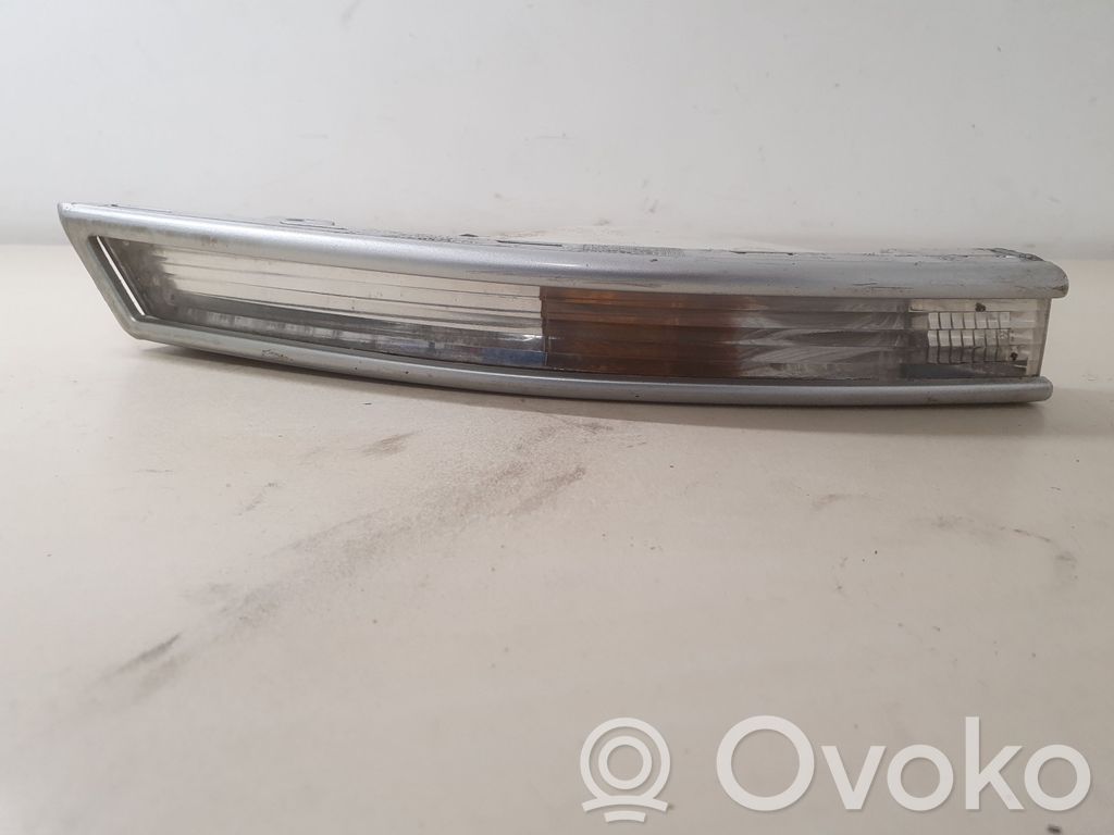 Volkswagen PASSAT B6 Front indicator light 