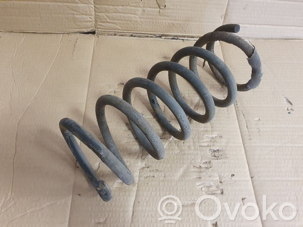 Rear coil spring
