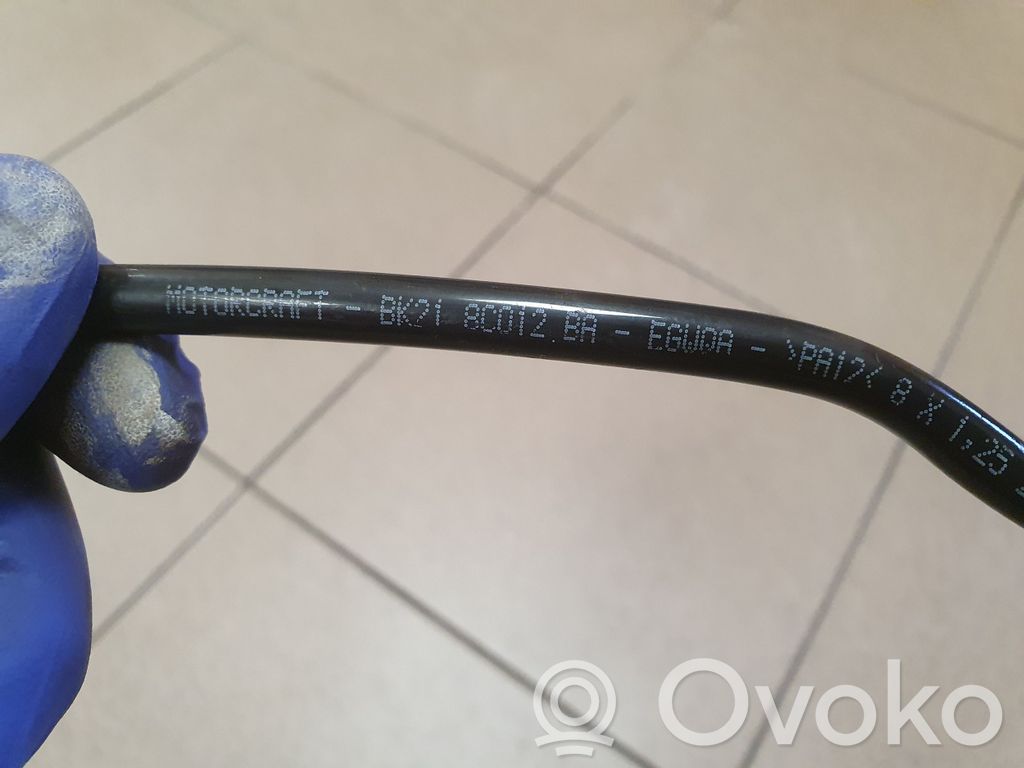 Ford Transit Custom Caurulīte (-es) / šļūtene (-es) 