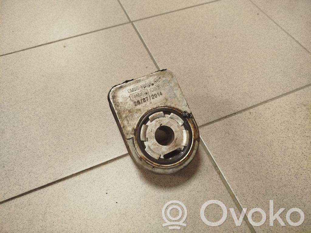 Ford Fiesta Engine oil radiator 