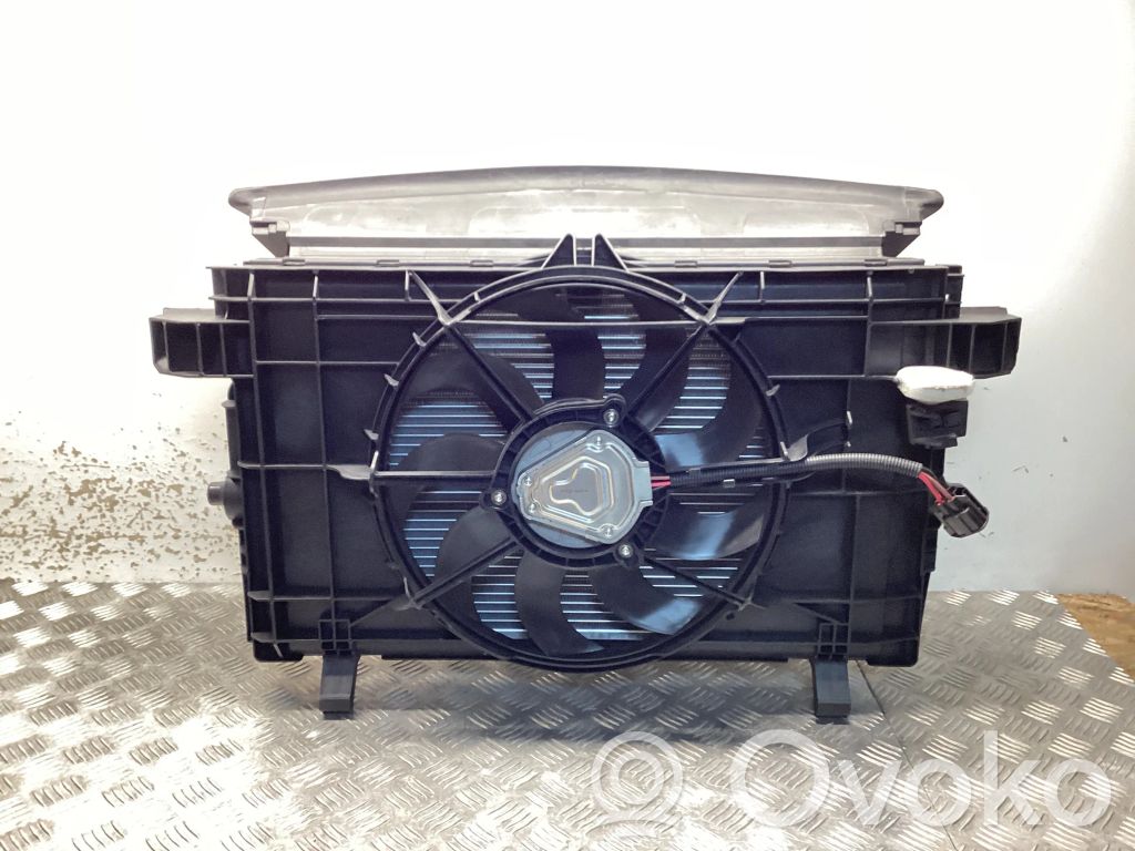 Tesla Model Y Radiator set 