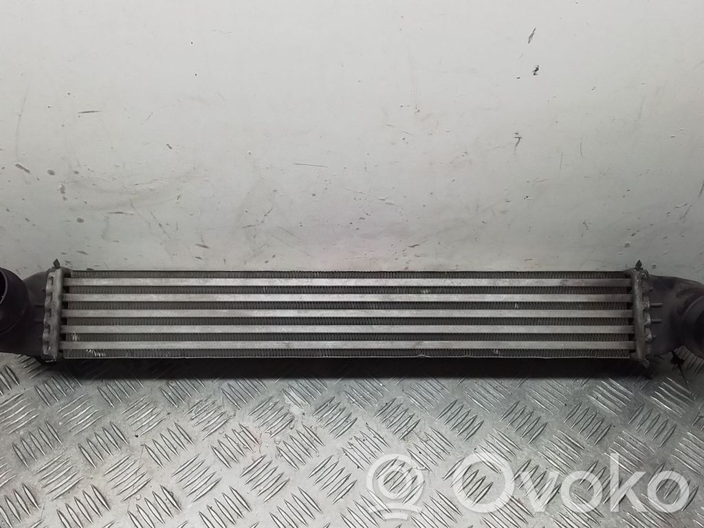 Mini Cooper Countryman R60 Ladeluftkühler 