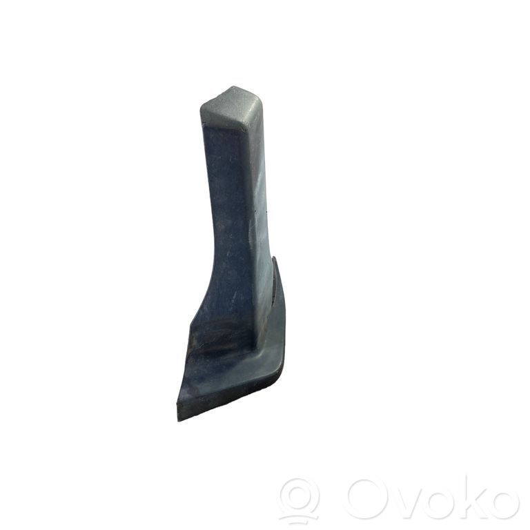 Dodge RAM Rear mudguard 